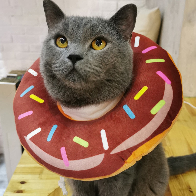 Coleira de proteção para pet - Piguer Pet™